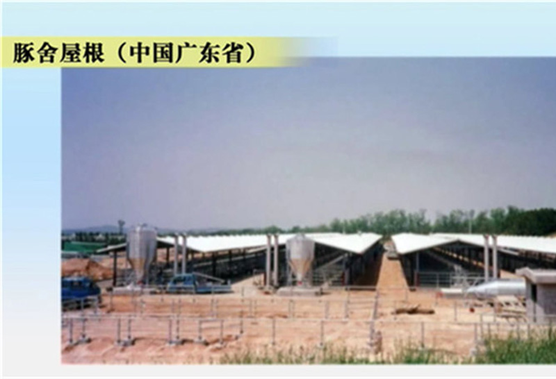 豚舍屋根（中国广东省）