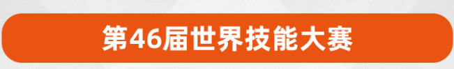 世界技能大赛